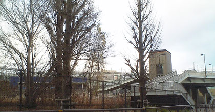 c0039153_2293355.jpg