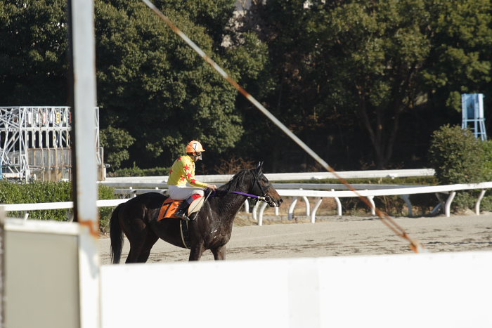 小林靖幸騎手、ありがとうございました_a0077663_1824679.jpg