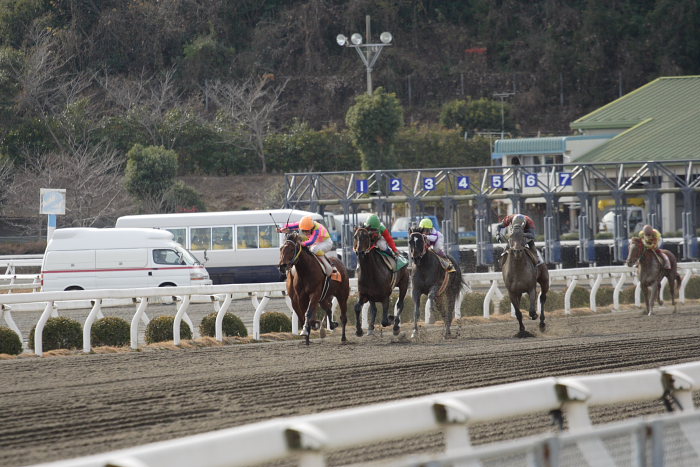 さくさく、高知競馬7勝目ゲット～_a0077663_721764.jpg