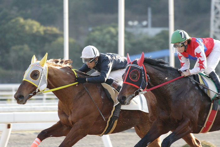 2008年1月1日（火） 高知競馬 9R_a0077663_871225.jpg