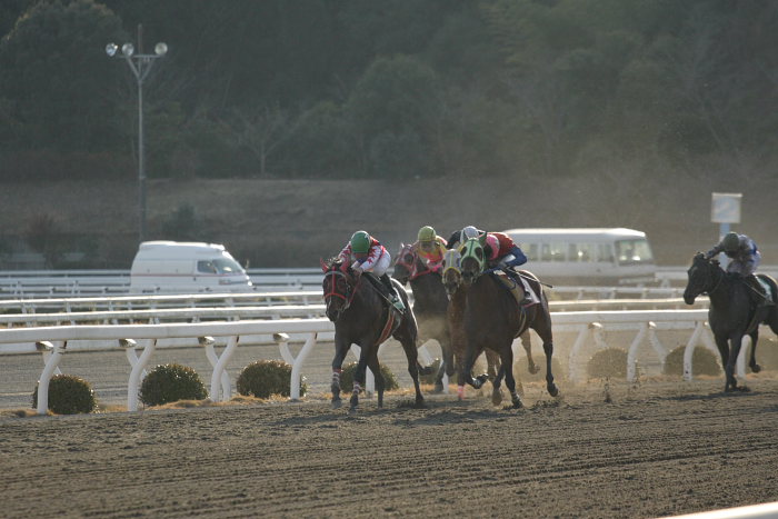 2008年1月1日（火） 高知競馬 9R_a0077663_873118.jpg