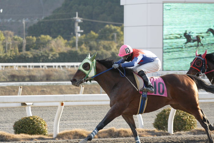 2008年1月1日（火） 高知競馬 9R_a0077663_874930.jpg