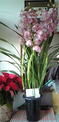 c0100865_13583529.jpg