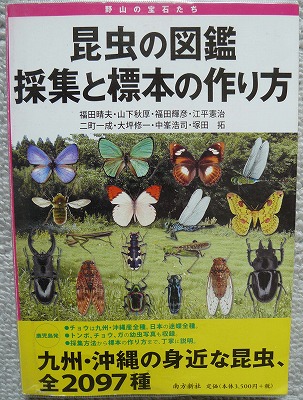 図鑑 昆虫の図鑑 採集と標本の作り方 蝶 チョウ ゆっくり歩き 千蟲譜物語 図鑑 昆虫の図鑑 採集と標本の作り方 蝶 チョウ ゆっくり歩き 千蟲譜物語
