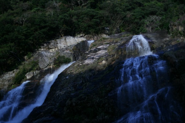 屋久島の旅　－大川の滝ー_d0079278_17133497.jpg