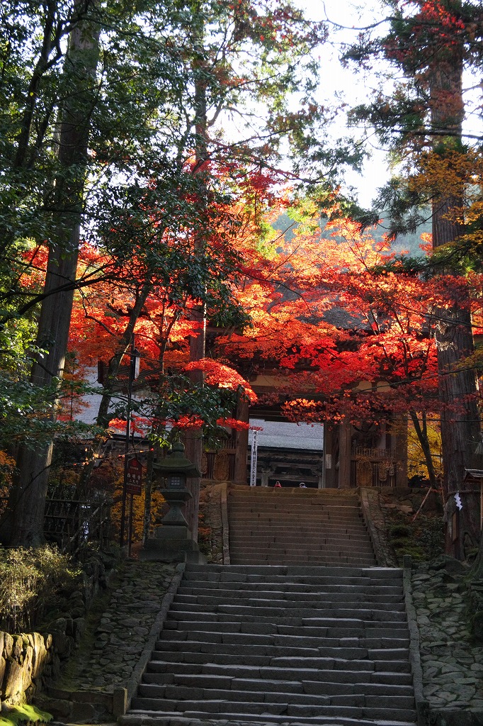 湖東三山(西明寺の紅葉）その５_f0034583_9312960.jpg