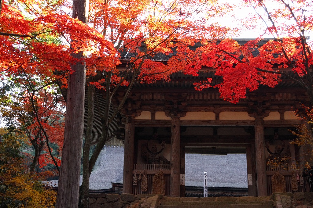 湖東三山(西明寺の紅葉）その５_f0034583_9321391.jpg