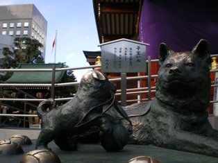 c0109090_16555958.jpg
