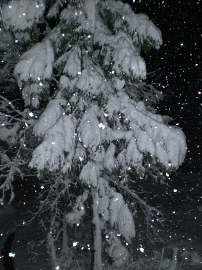 2∞8_d0112893_16373380.jpg