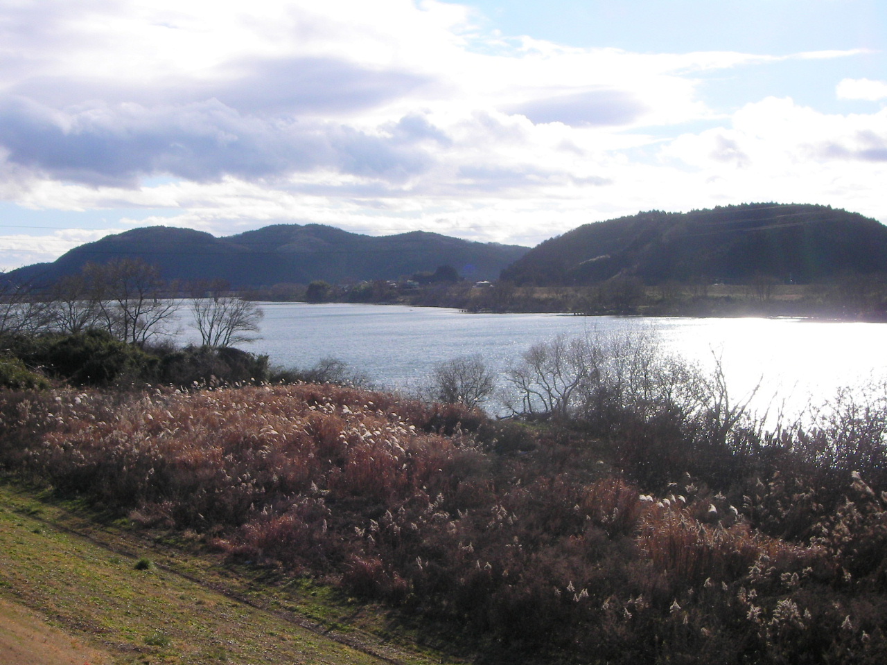 北上川の葭原・柳津の虚空蔵さん_f0100593_2004061.jpg