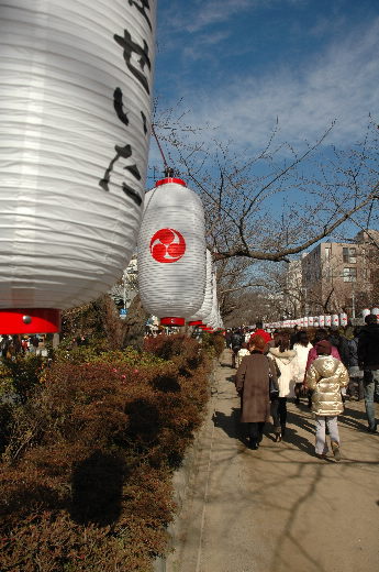 鎌倉八幡宮参詣_d0030597_21444778.jpg