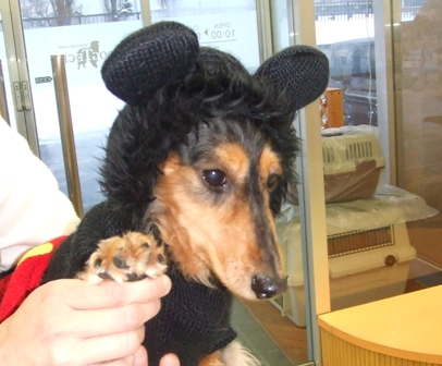 f0077697_19564193.jpg