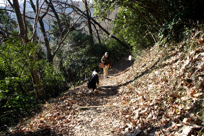 f0034602_17204764.jpg