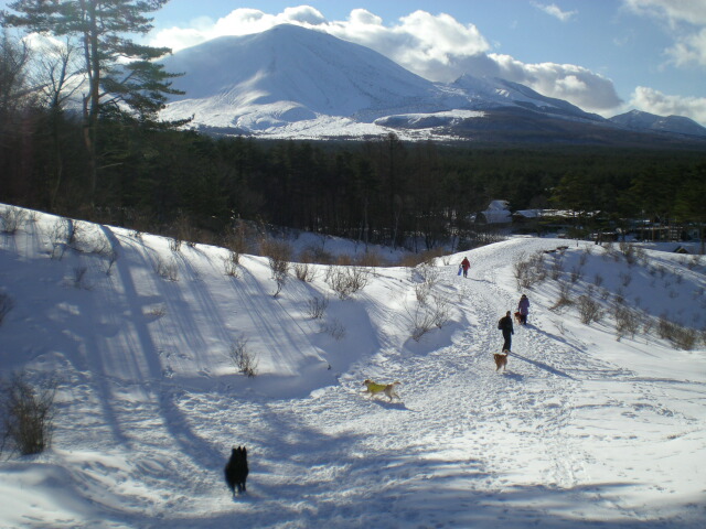 f0109202_21263645.jpg