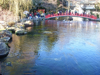 新春の三寺社巡り_d0116009_116213.jpg