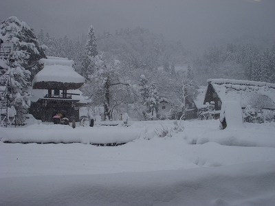 新春の三寺社巡り_d0116009_144877.jpg