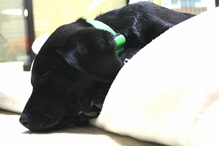 c0156510_2017756.jpg