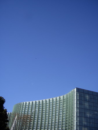 a0091314_11502849.jpg