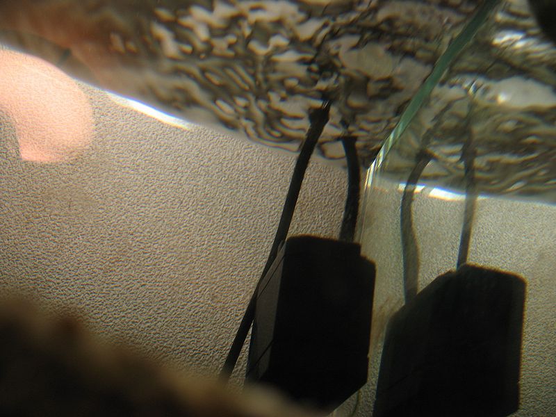 c0119618_1914146.jpg