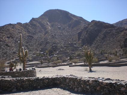 f0135018_21591323.jpg
