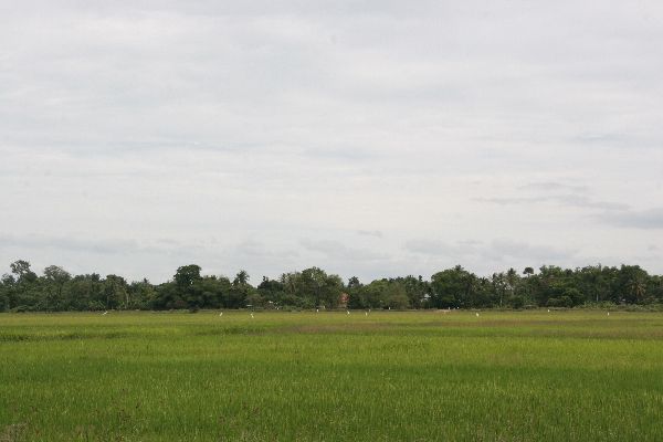 d0116625_2053344.jpg