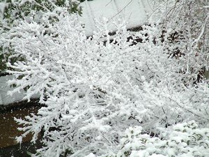 f0124737_21294412.jpg