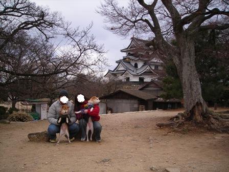 年末年始 丹後への犬連れ車中泊の旅 彦根城編_b0080342_8431778.jpg