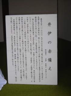 年末年始 丹後への犬連れ車中泊の旅 彦根城編_b0080342_8475431.jpg