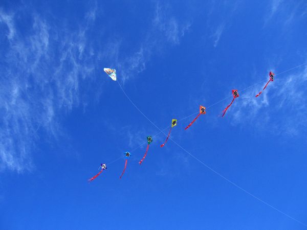 c0138642_21112160.jpg