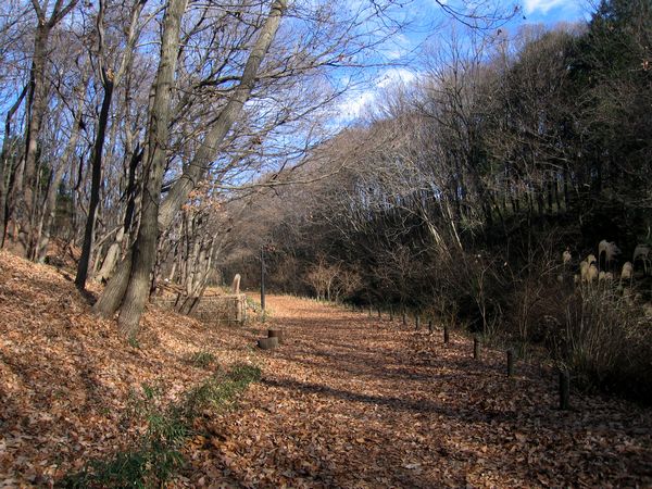 c0138642_21115839.jpg