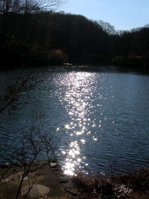 c0138642_21152774.jpg