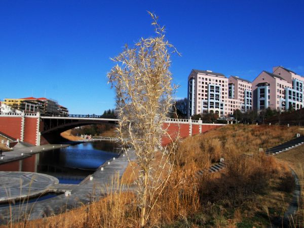 c0138642_21171810.jpg