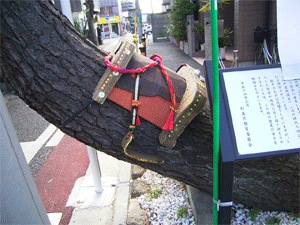 a0044453_14294323.gif