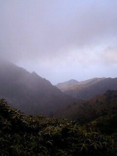 c0016261_2202836.jpg