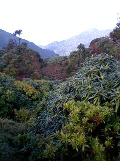 c0016261_2204693.jpg