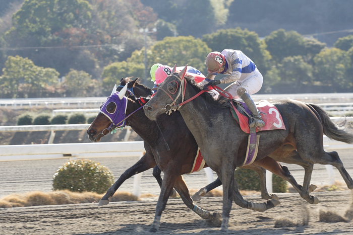 赤岡修次騎手、年間最多勝利記録更新～_a0077663_18273254.jpg