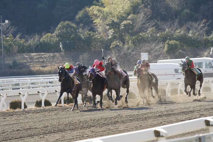 赤岡修次騎手、年間最多勝利記録更新～_a0077663_182789.jpg