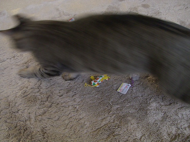 b0067994_22524254.jpg
