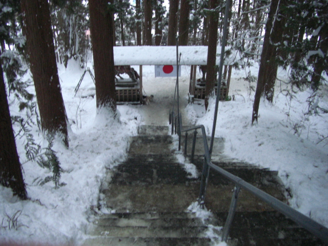e0050801_172387.jpg