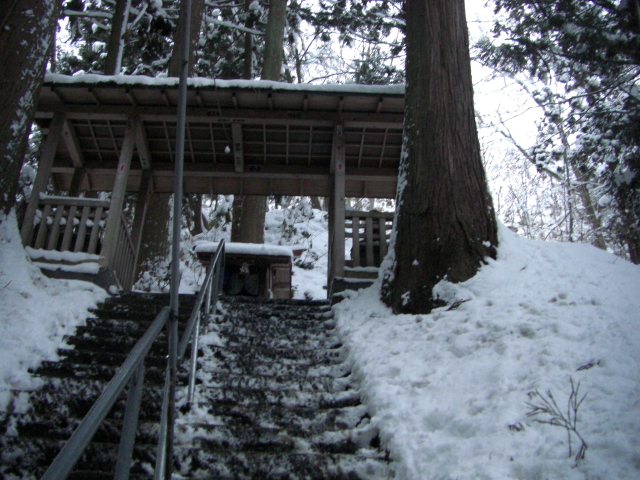 e0050801_17347.jpg