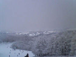 a0024504_15295952.jpg
