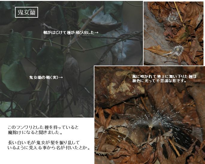 高尾山へ体力試し_c0051105_0523997.jpg