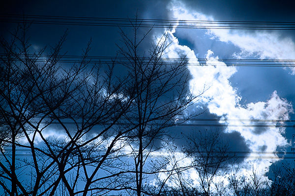 e0117517_11278.jpg
