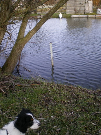 c0124619_5444728.jpg