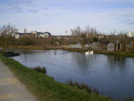 c0124619_5452426.jpg
