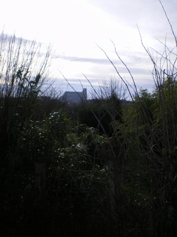c0124619_5454878.jpg