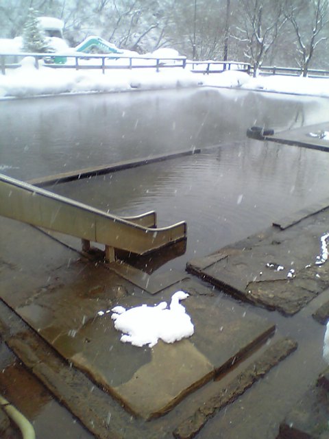 d0035823_20221683.jpg
