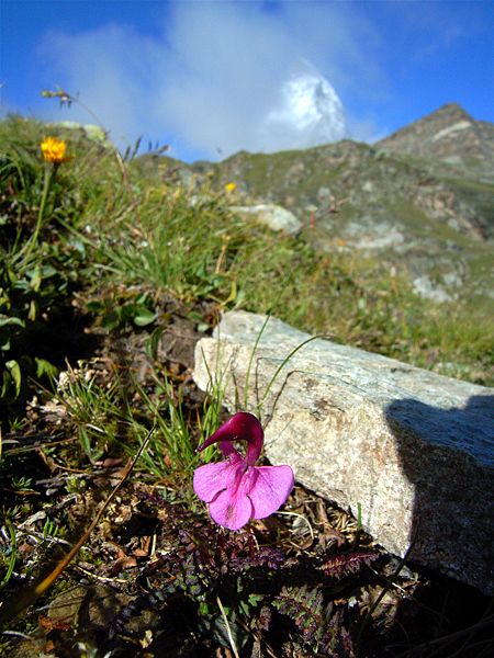 d0054625_21252549.jpg