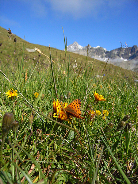 d0054625_2126312.jpg