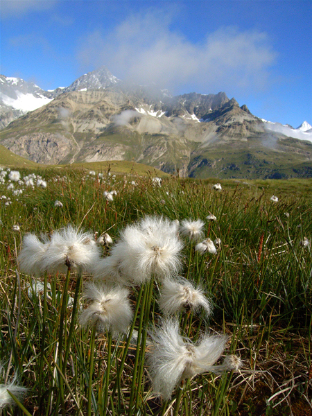 d0054625_21271715.jpg